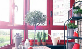 Цветные окна